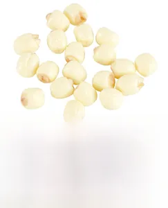 Detailed macro view of realistic PVC lotus seeds with lifelike sprouts for DIY decor