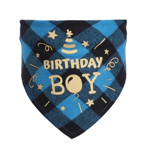 Close-up of blue plaid dog birthday bandana featuring golden Birthday Boy text and stars