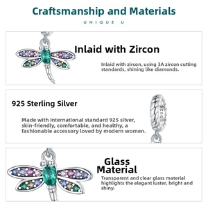 Detail of s925 silver dragonfly charm with AAA colorful zircon and glass inlay