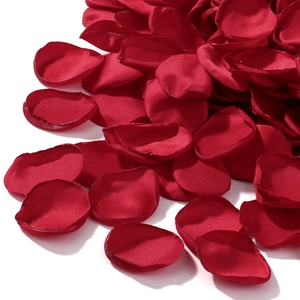Macro detail of dark red silk rose petals with curled edges on white background