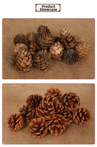 Detailed view of natural brown pine cones for Christmas decor on rustic burlap background