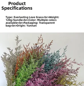 Macro detail of multicolored preserved Statice flower bouquet weighing 120g from Yunnan