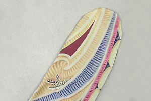 Close-up of colorful abstract wave pattern fabric with high-quality stitching details