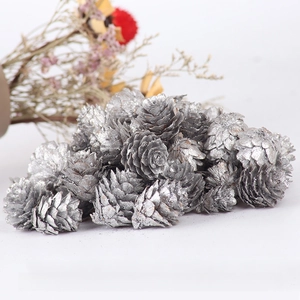 Close-up of silver painted natural pine cones for Christmas DIY crafts and decorations
