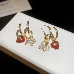 Detail of gold dog earrings with red heart charms and sparkling zircons on jewelry box
