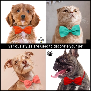 Adjustable solid color pet bow tie set for cats and dogs in four vibrant colors