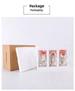 Detailed view of Halloween pumpkin head skeleton figures safely stored in foam packaging