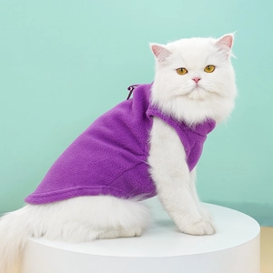 Detail view of a cat wearing a purple fleece pet vest for winter warmth on a green backdrop