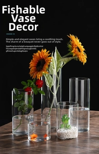 Macro shot of assorted tall cylindrical borosilicate glass vases for flowers and fish