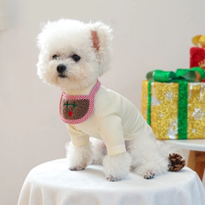 Close-up of a Bichon dog wearing a red gingham reindeer bib and cozy knit sweater