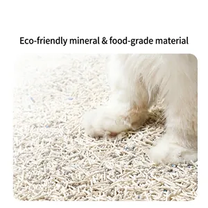 Mixed tofu and mineral cat litter with a cat paw close-up for texture and odor control