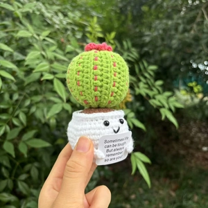 Handmade Crochet Emotional Support Plant Yarn Potted Flower With Inspirational Card Desktop Decor Cute Gift