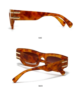 Détail de lunettes œil de chat écaillées avec ornements dorés sur les branches