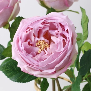 Macro shot of faux Austin rose in pale pink purple with detailed yellow stamens