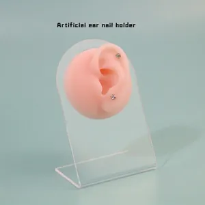 Artificial Silicone Ear Model With Acrylic Stand Jewelry Display Holder For Earring Stud Piercing Teaching And Shop Props