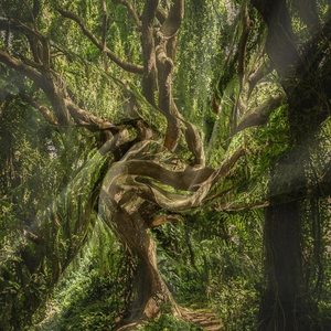Detail view of tropical jungle tapestry showing soft fabric texture and vivid leaf patterns