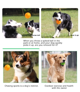 Action shots of border collies and golden retrievers playing with spiky TPR dog toy balls