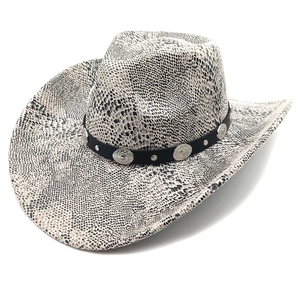 Detail of western cowboy hat featuring black and white snakeskin pattern and studded leather band