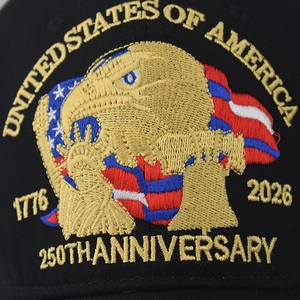 Casquette de baseball en coton noir avec aigle 3D pour le 250e anniversaire USA