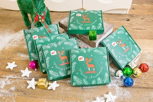 Festive green Christmas gift box featuring reindeer design and Merry Christmas text