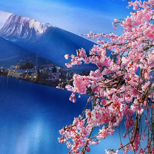 Detailed macro view of the Mount Fuji and cherry blossom print on a bohemian tapestry fabric