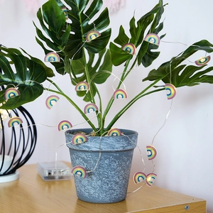 Detail of LED rainbow fairy lights wrapped around a green plant for home decor