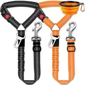 Détail de ceintures de sécurité en nylon pour animaux avec un bol pliable noir et orange