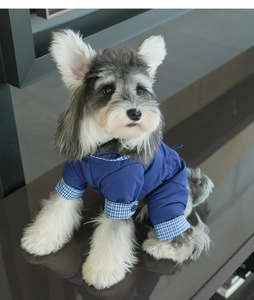 Dettaglio tuta per cani impermeabile e antivento con inserti a quadri per Schnauzer