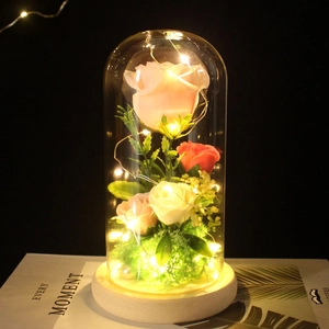 Detail of LED preserved roses in glass dome with light wood base for romantic gift
