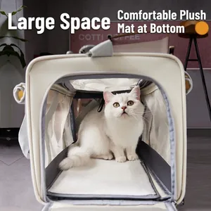 Portable pet carrier with breathable mesh and soft padding for travel and outdoor use