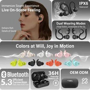 Waterproof sport TWS earphones with earhooks and 36h battery life in six colors