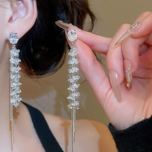 Close-up of long silver tassel earrings with zircon and crystal beads on female model