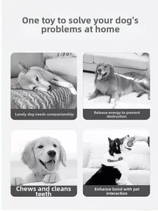 Dog plush toy solving boredom, excessive chewing, and enhancing pet interaction indoors