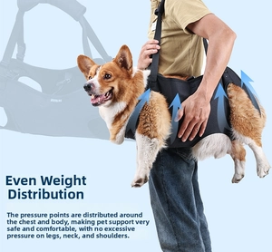 Detail showing pet lift harness with balanced pressure distribution for senior dog support