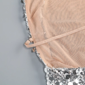 Macro detail of silver sequins and skin-tone mesh on a sleek sleeveless evening gown