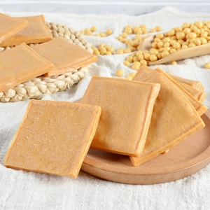 Macro shot of realistic PVC dried tofu model with detailed woven texture on wood tray