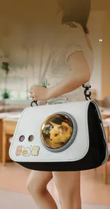 Detail view of the large clear space capsule window and cartoon prints on the pet carrier bag