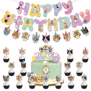 Cat theme birthday party set with multi-color Happy Birthday banner and cake toppers
