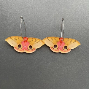 Detail of colorful butterfly moth wings on silver hoop earrings over a grey surface