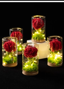 Detail of five handmade crochet carnations in glass domes with warm LED string lights