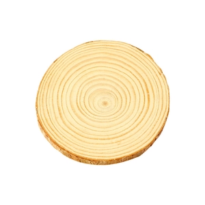 Natural round wood slice with bark and tree ring texture for Christmas decoration