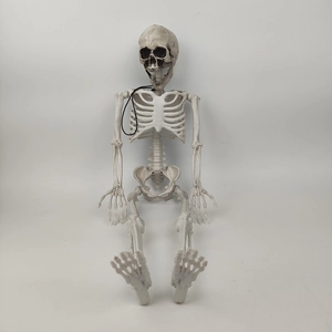 Full view of a plastic skeleton prop with joints and hanging loop for Halloween decor