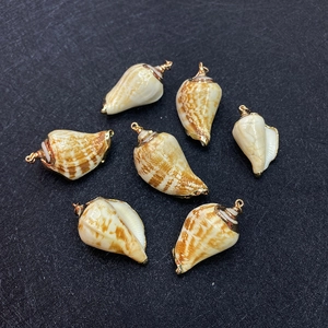Close-up of 6 natural seashell pendants with gold-plated edges for DIY jewelry making