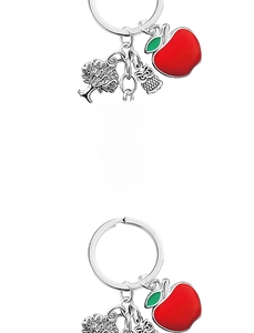 Detail of silver owl apple tree keychain with engraved thank you message for teachers