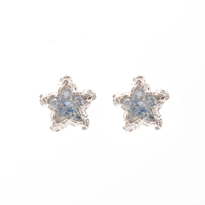 Elegant silver star stud earrings with light blue crystals and a polished finish