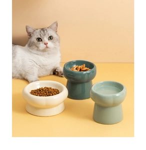 Ceramic elevated cat bowl with smooth glaze finish protecting pet cervical spine