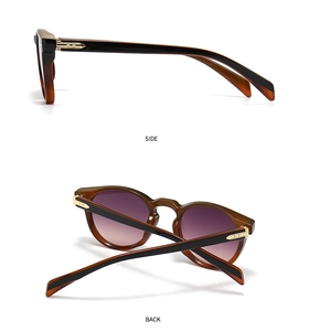 Detail view of tortoiseshell sunglasses featuring golden arrow accents and gradient lenses