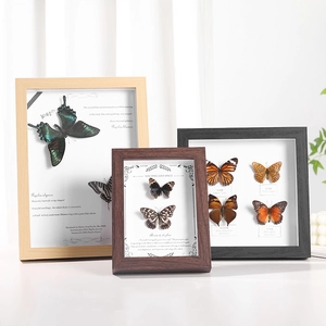Butterfly Specimen Photo Frame Shadow Box Wood Glass Desktop Decorative Ornament Retro Handmade DIY Natural Insect Exhibit