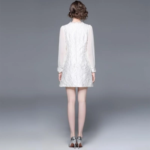Back view of a white lace jacquard dress with chiffon sleeves and silver heels