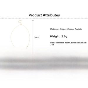 Detailed specs of zircon horse necklace with 43cm chain and 7cm extender in gold tone